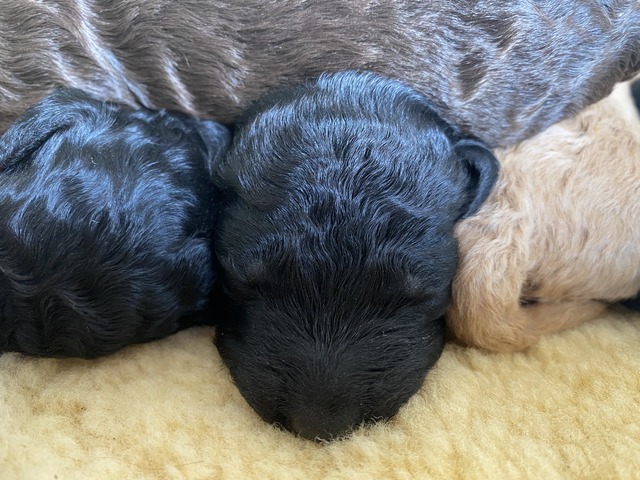 ONE WEEK OLD