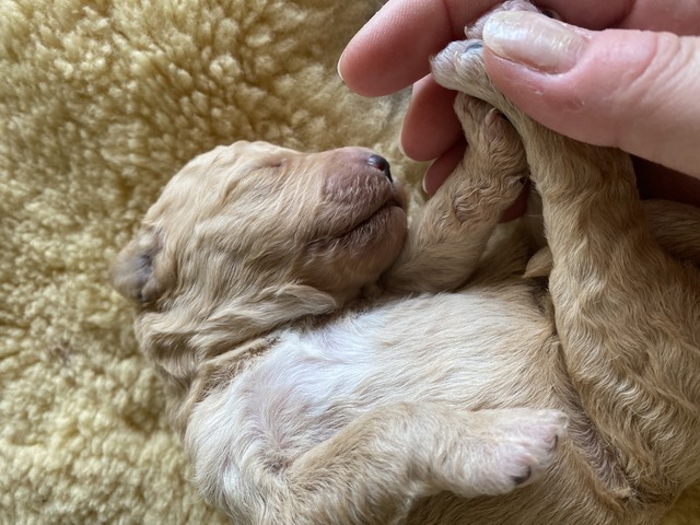 ONE WEEK OLD