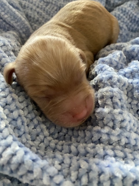 2 DAYS OLD 