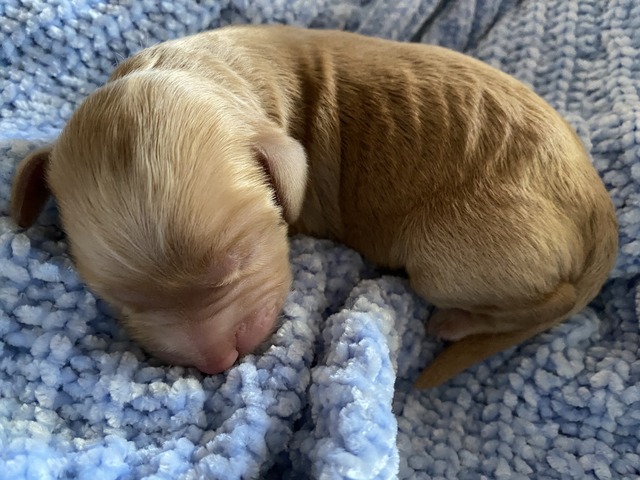 2 DAYS OLD 
