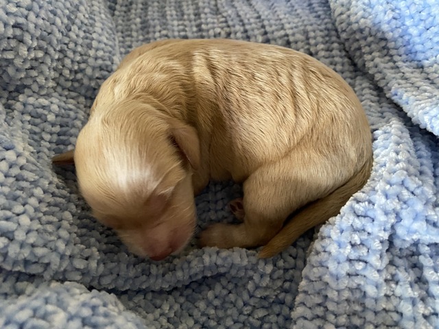 2 DAYS OLD 