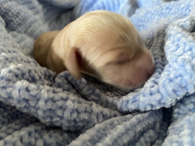 2 DAYS OLD 