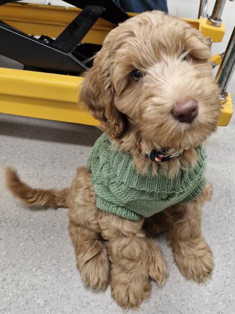 3 Months Old