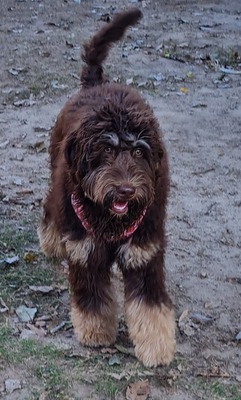 HOPSCOTCH Evonne Coolakong (Evonne)